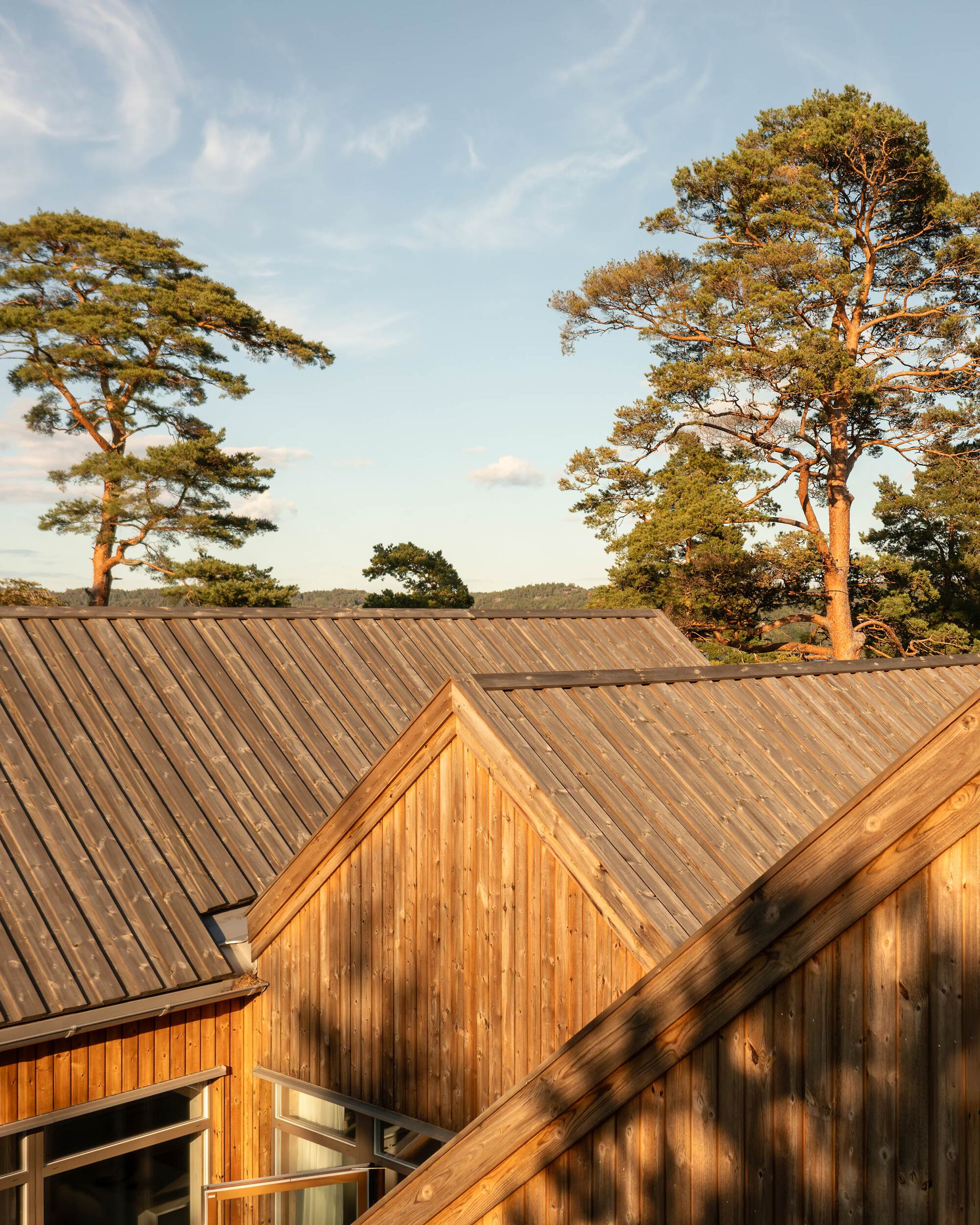 乌尔沃斯别墅丨瑞典丨STAM Arkitekter-29