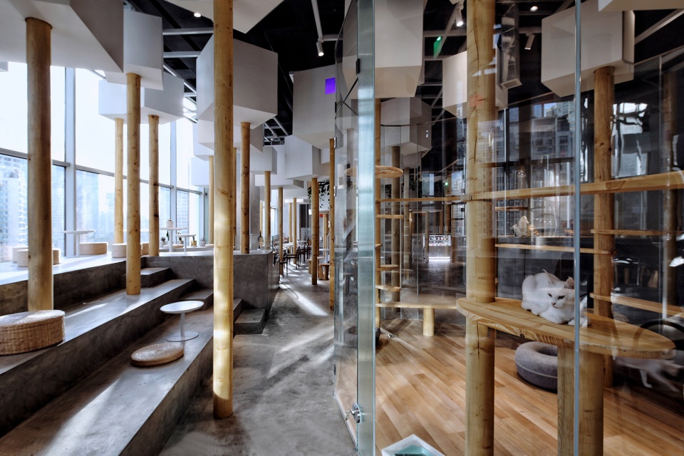 TFB 动物咖啡厅 · 人造森林中的治愈空间-21