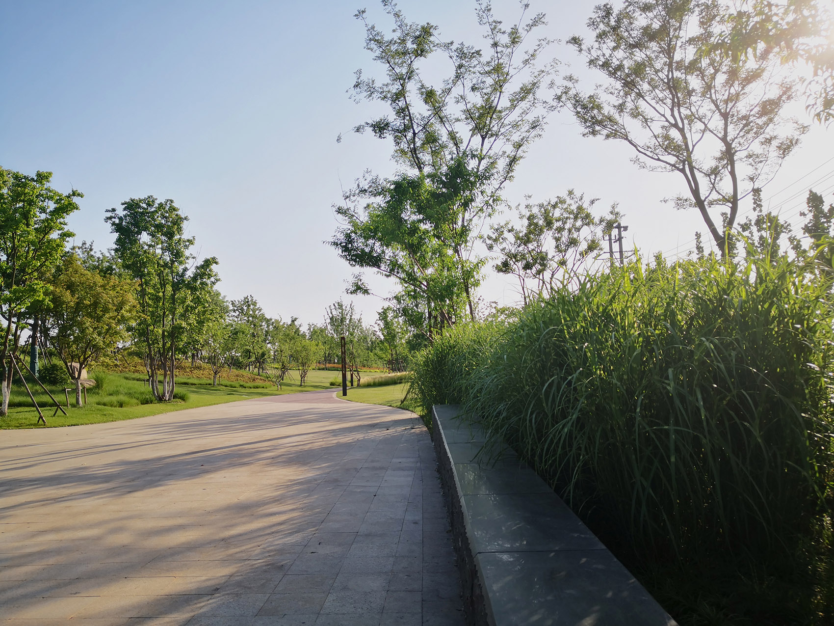 新加坡·南京生态科技岛-79