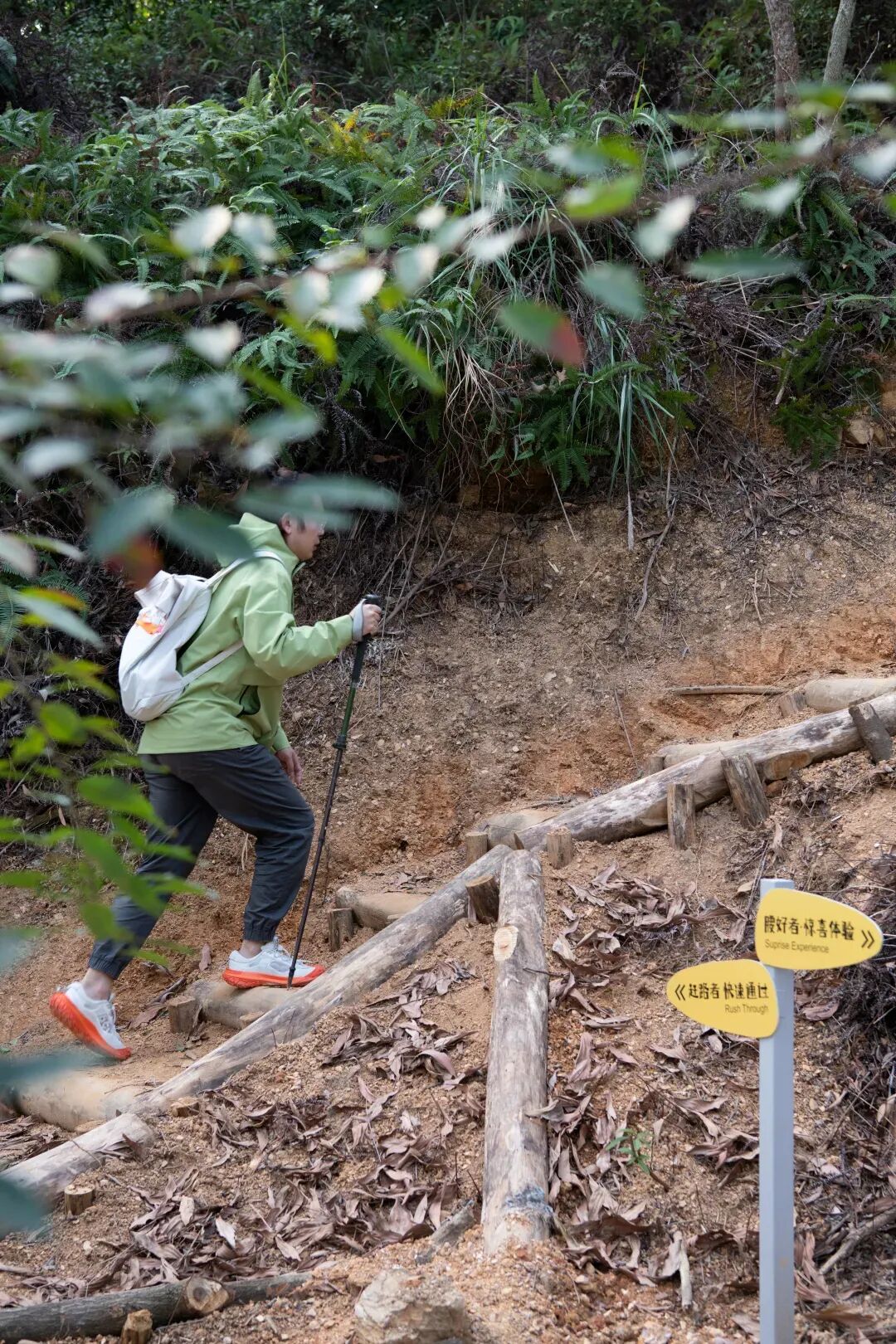 未名新作|山野有乾坤都市藏鲲鹏-深圳山海连城计划罗湖区东湖公园郊野径-莲塘口岸线-134