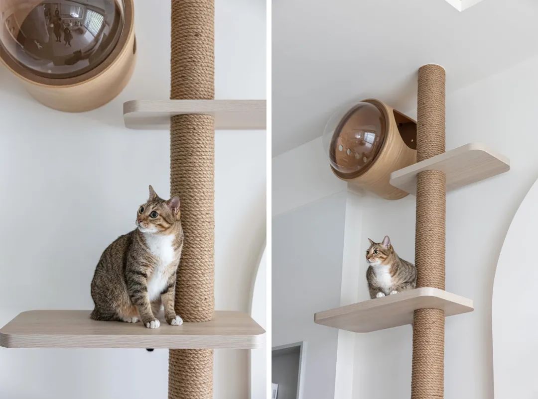 120㎡猫奴的家，温润自由的开心乐园！-13