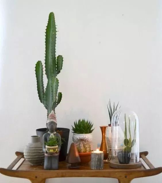 30㎡小户型也能拥有花园,设计师的神奇打造!-35