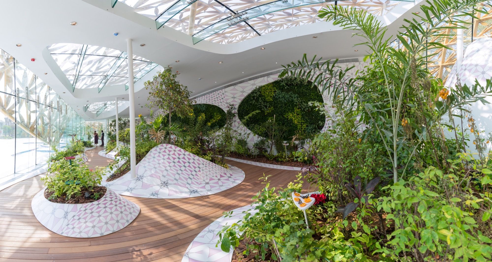 金叶嵌彩蝶——3deluxe 打造的中东热带雨林秘境-17