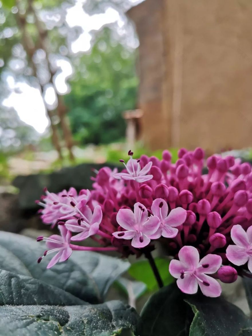 终南山书院 | 回归自然的诗意栖居-77