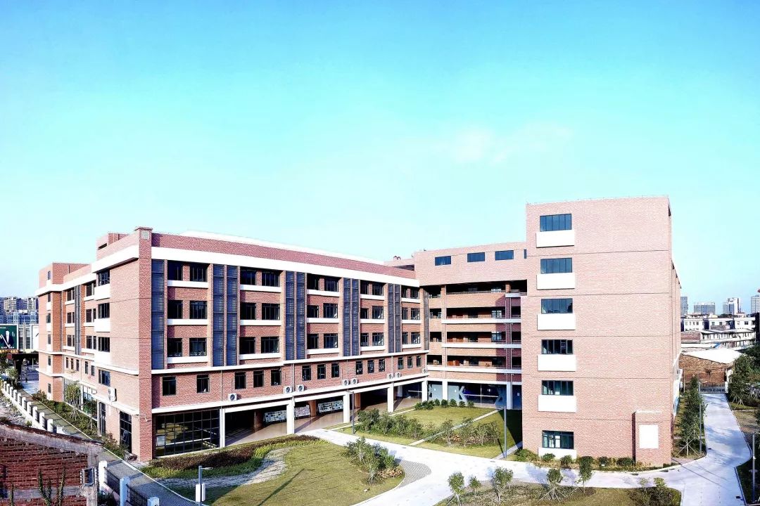 华奥艺术学校 | 佛山禅城绿色教育空间-0