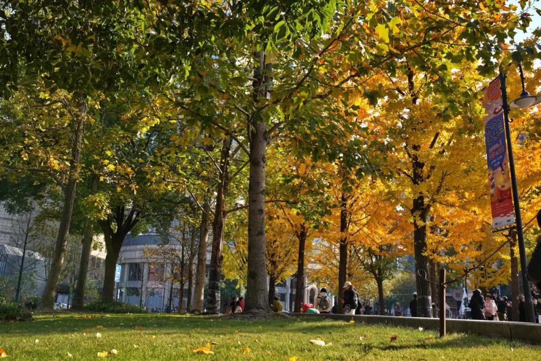 音律街角 · 上海地铁14号线大世界站外环境设计丨中国上海丨上海亦境建筑景观有限公司,上海交通大学设计学院风景园林研究所-44