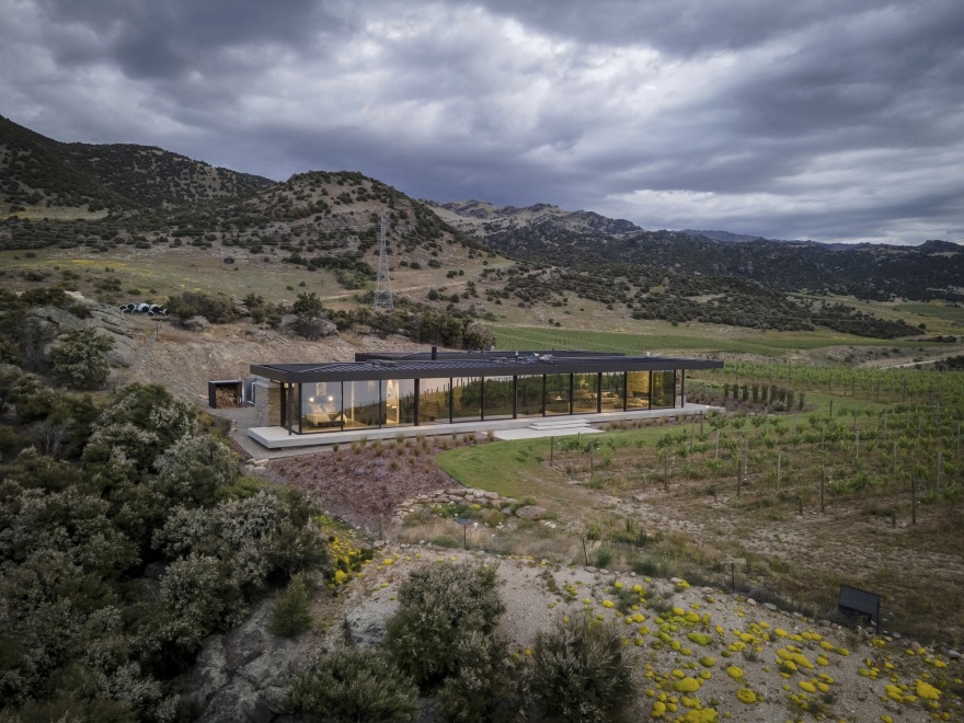 本迪戈排屋丨新西兰丨Condon Scott Architects-30