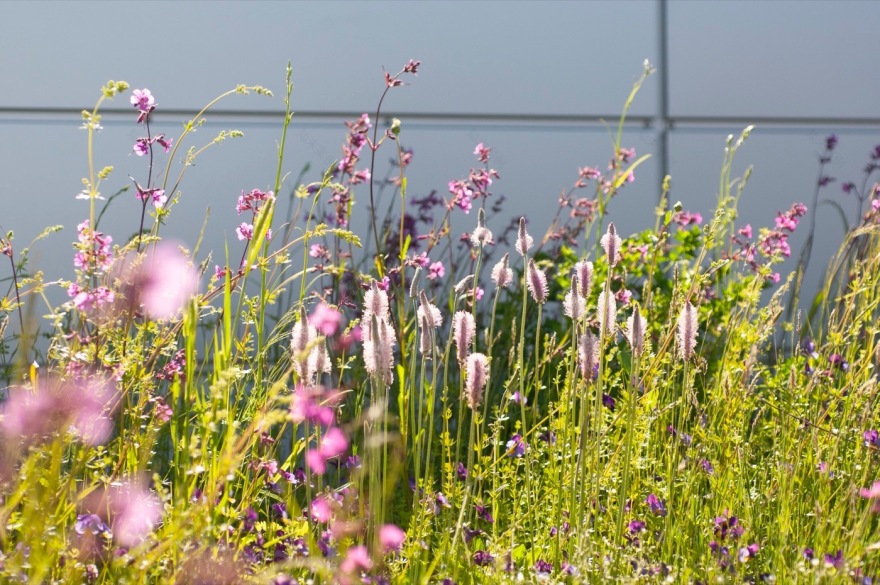 芬兰赫尔辛基绿色住宅区的生态设计探索-46