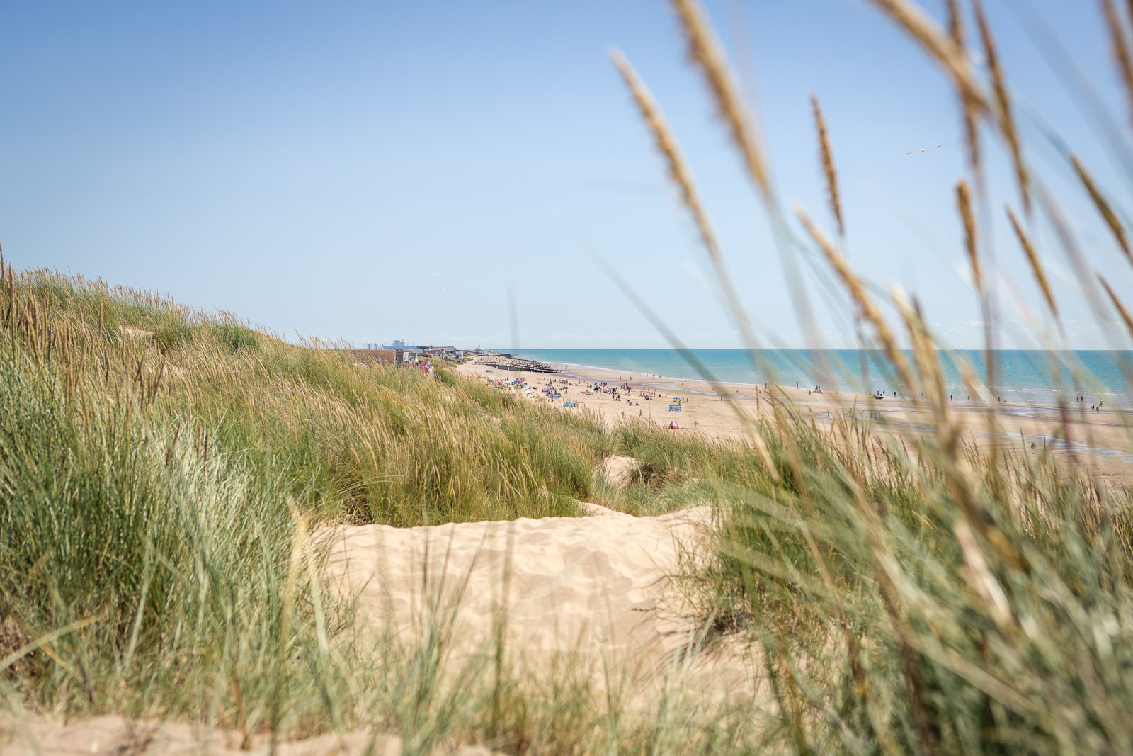 A Resident’s Guide to Dungeness | The Modern House-11