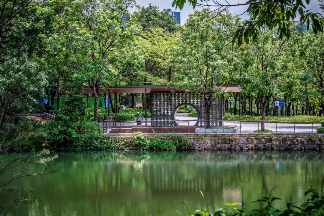 大运智慧公园之湖间|湖上一回首，青山卷白云-17