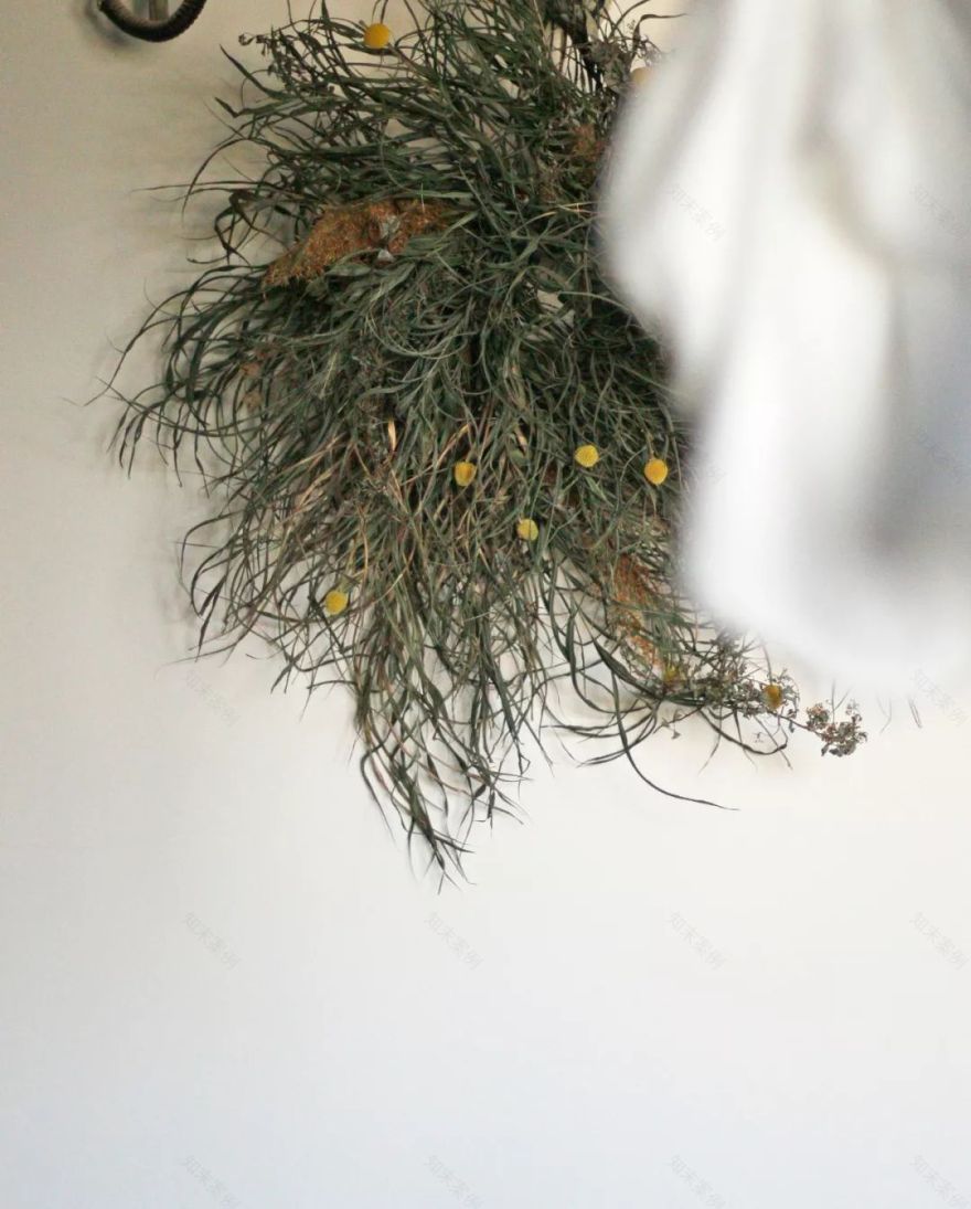 不羁花艺空间 | 混凝土与花的艺术结合-29