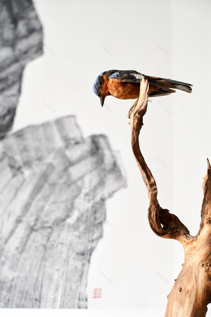 无间设计 | 吴滨:被光定格的艺术!-50