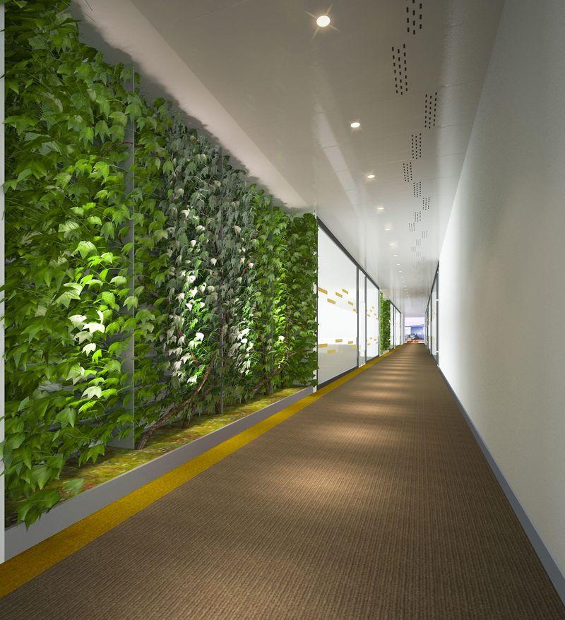 道明光学股份有限公司新厂区办公楼设计-1