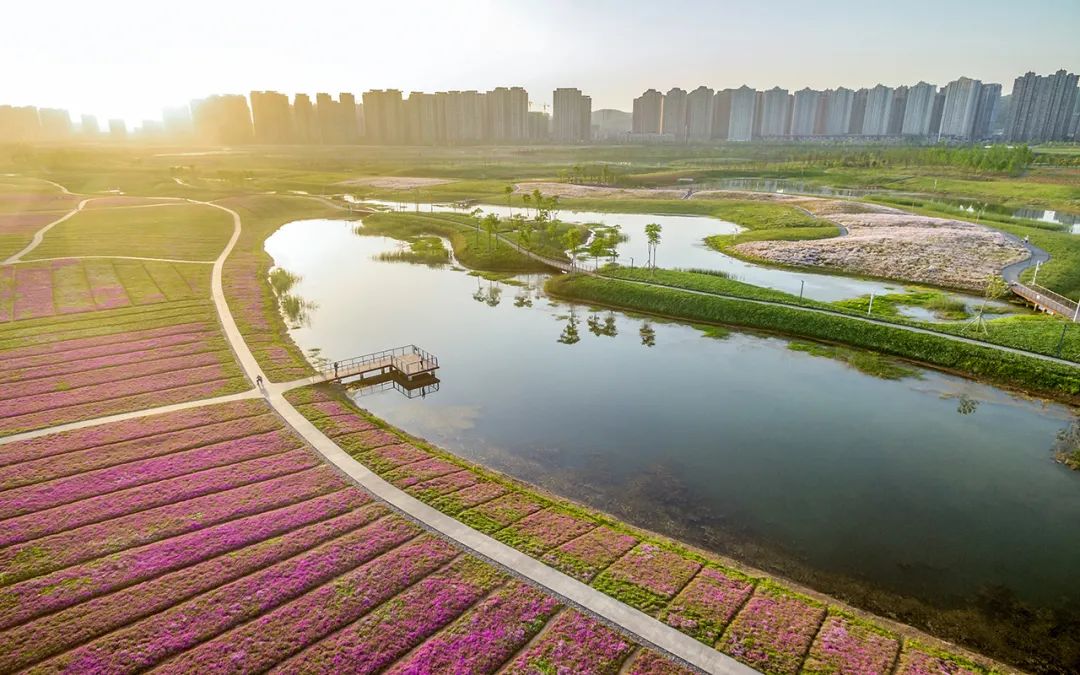 海绵城市建设 | 公园景观规划的实践与思考-47