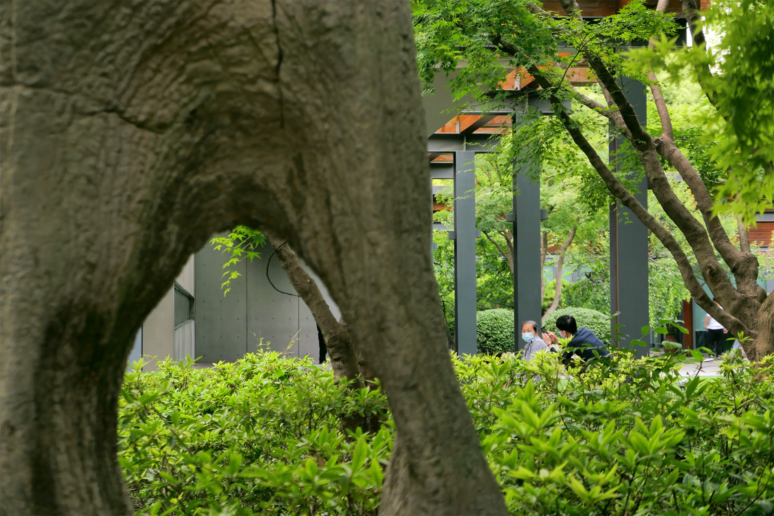 静安雕塑公园丨中国上海-20