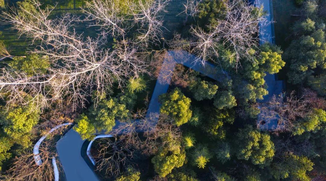 绿城·沁香园植物设计丨栖地设计-122