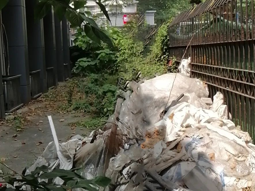 你知道吗，四牌楼南大门周边竟悄悄地换了新容-34