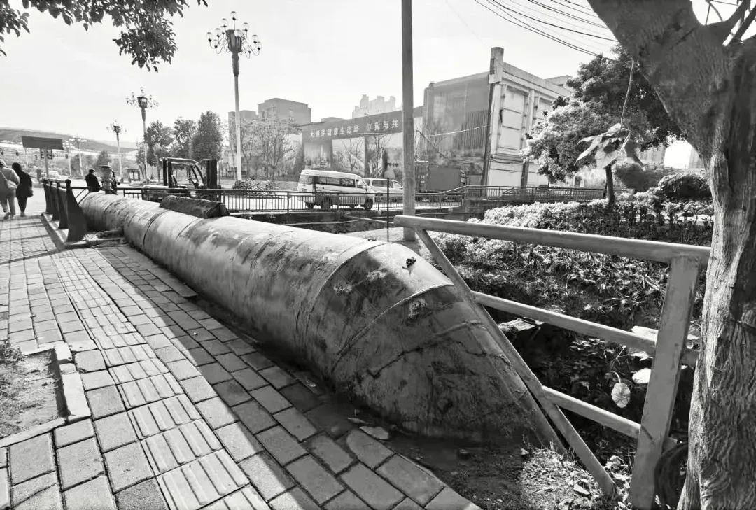 重生之河 | 广州大坦沙岛“蓝色命脉”的生态复兴-13