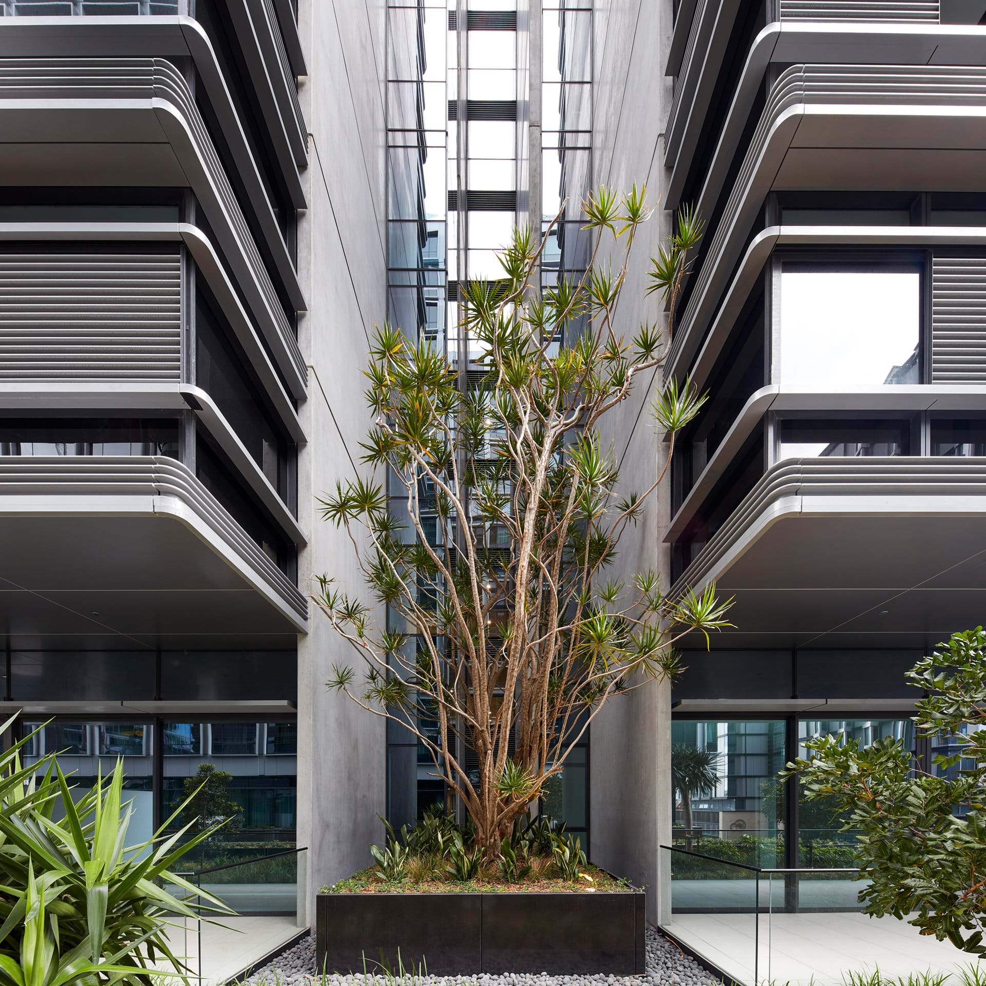 澳大利亚DUO中央公园-12