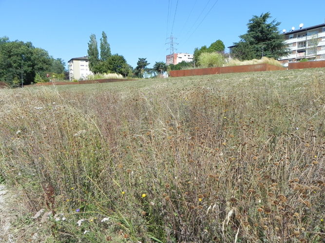 “Le Petit Bois”城市公园改造项目丨法国-7