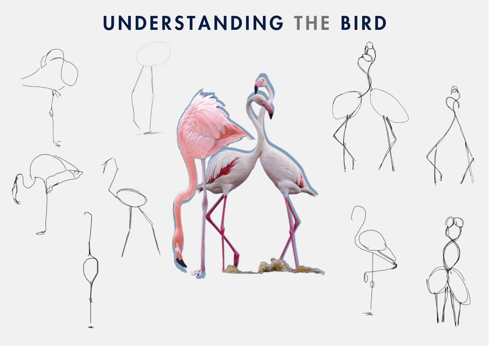 弗拉默照明套装-7