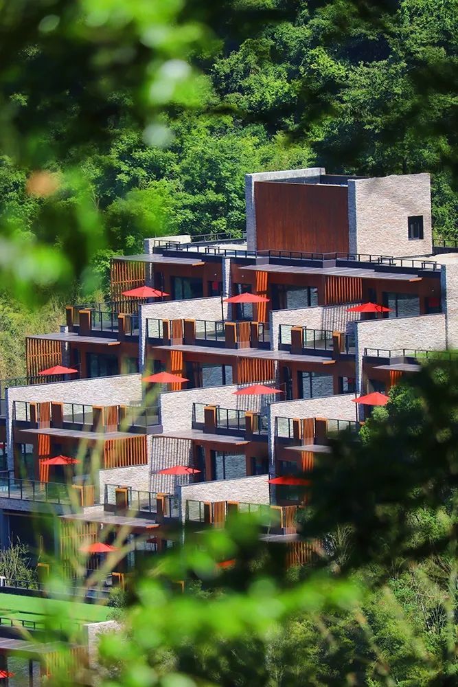 新昌安岚酒店丨中国绍兴丨HBA-31