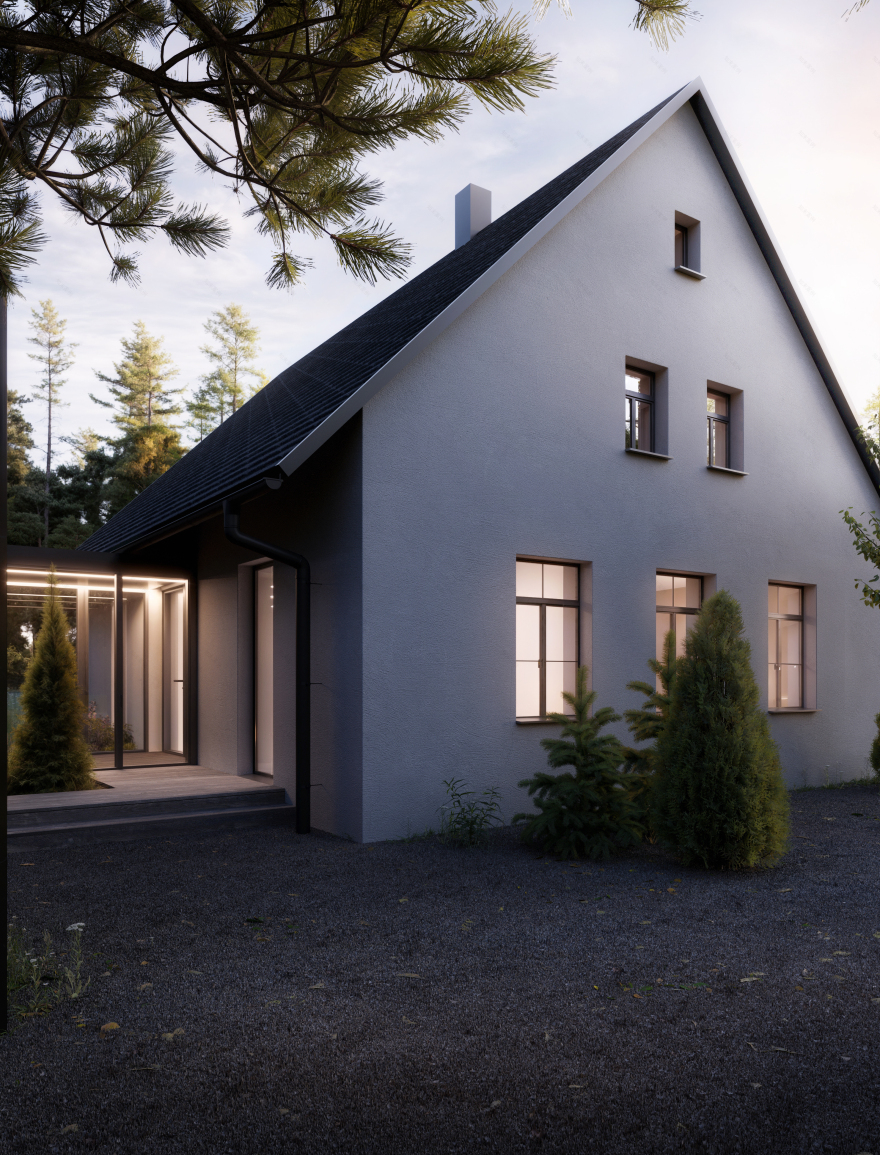 Borova现代乡村住宅可视化项目丨捷克-11