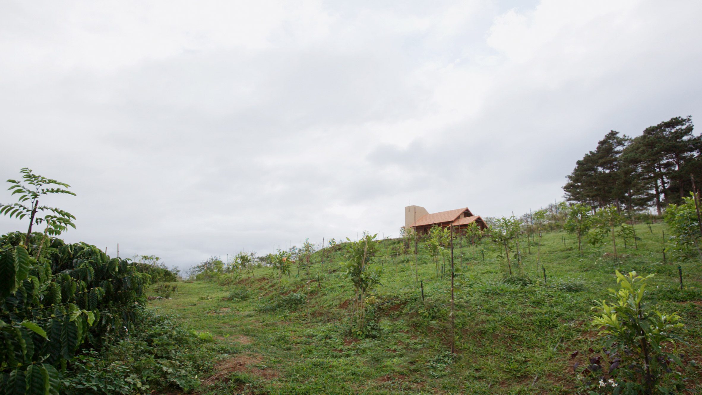 "Light structures and materials" define Di Linh House by K59 Atelier-3