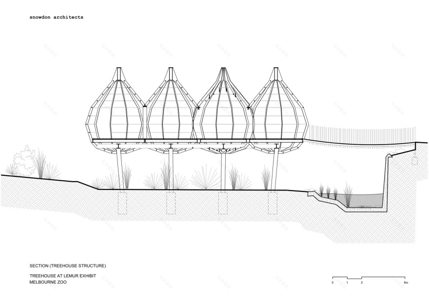 Lemur Exhibit Snowdon Architects-0