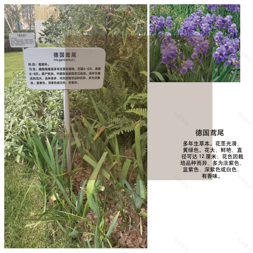 苏州悦景水湾丨中国苏州丨上海澜道佑澜环境设计有限公司-123