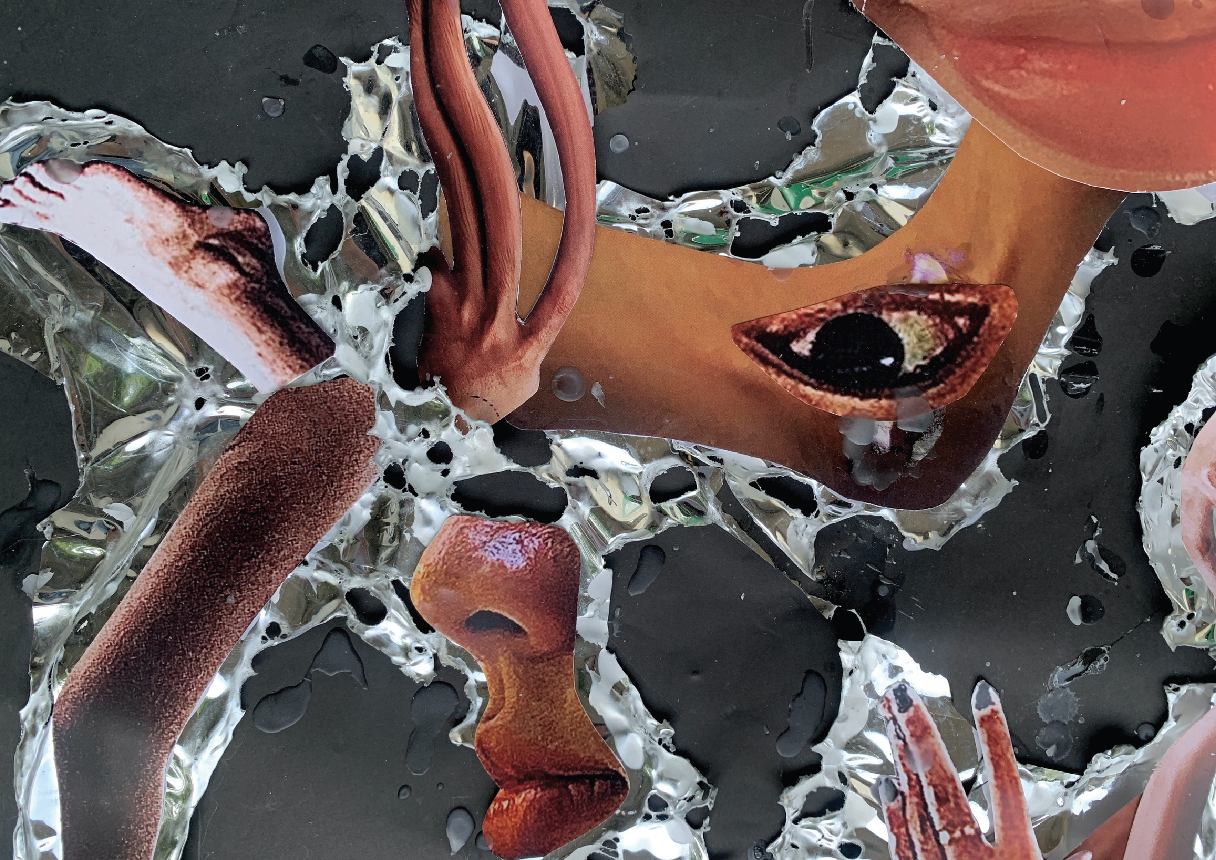 MEs_Mutation-12