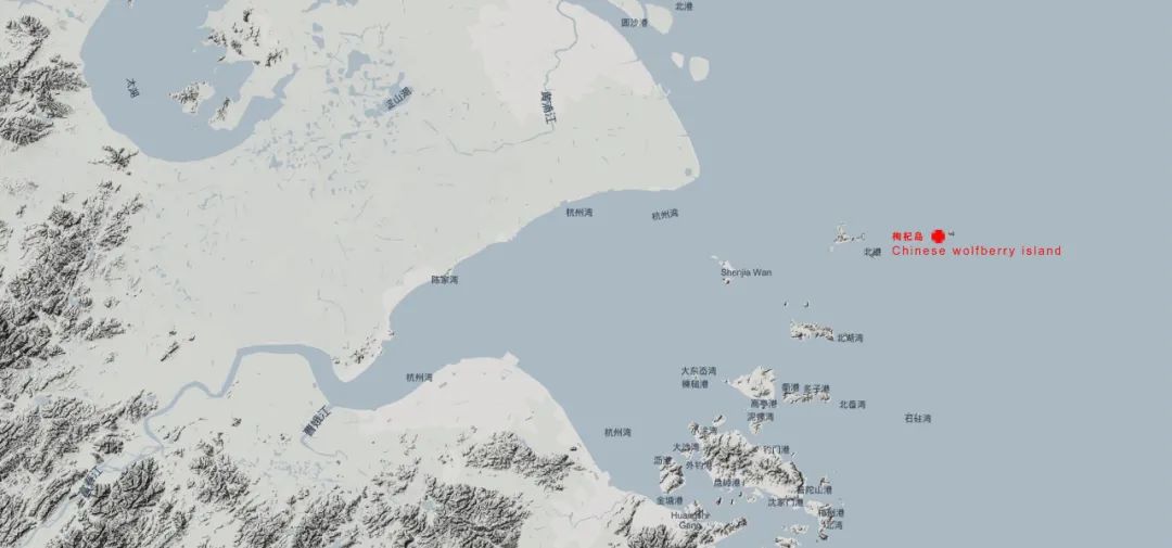 偏远海岛上的简约白色民宿-18