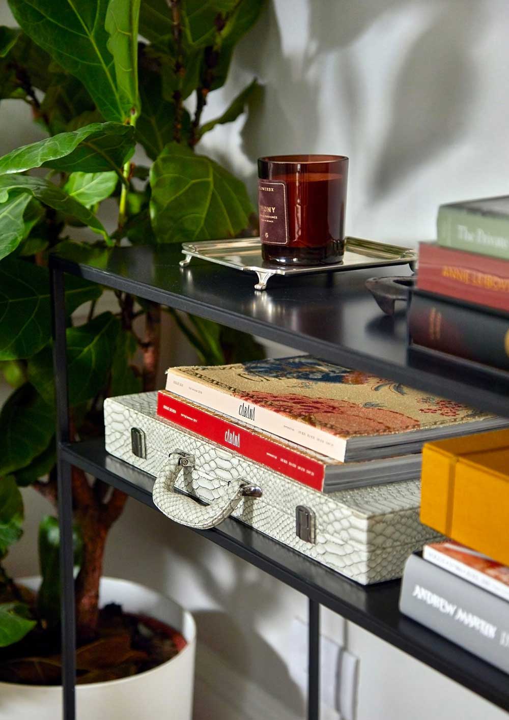 伦敦切尔西区小巧明亮公寓的精致设计-8