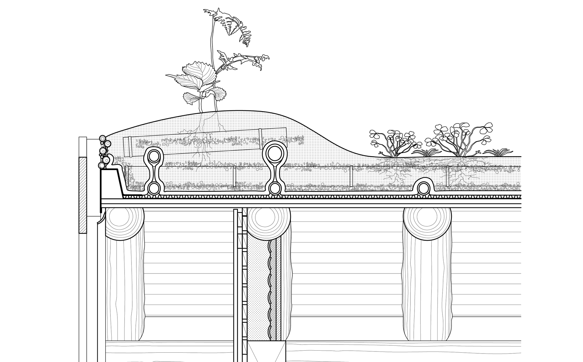 小房子特基特基安丨日本丨6lines studio-22