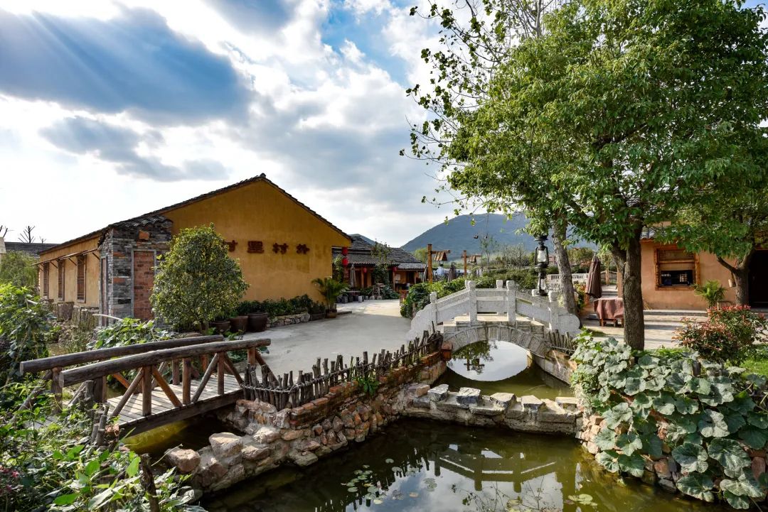 三瓜公社，如何从“穷山村”到“网红村”？-63