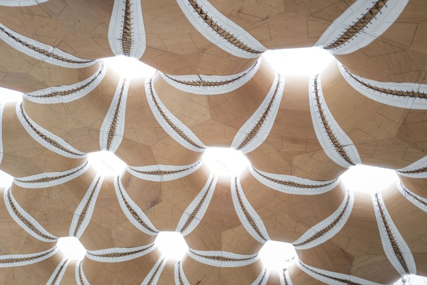 ICD,ITKE 研究馆-29