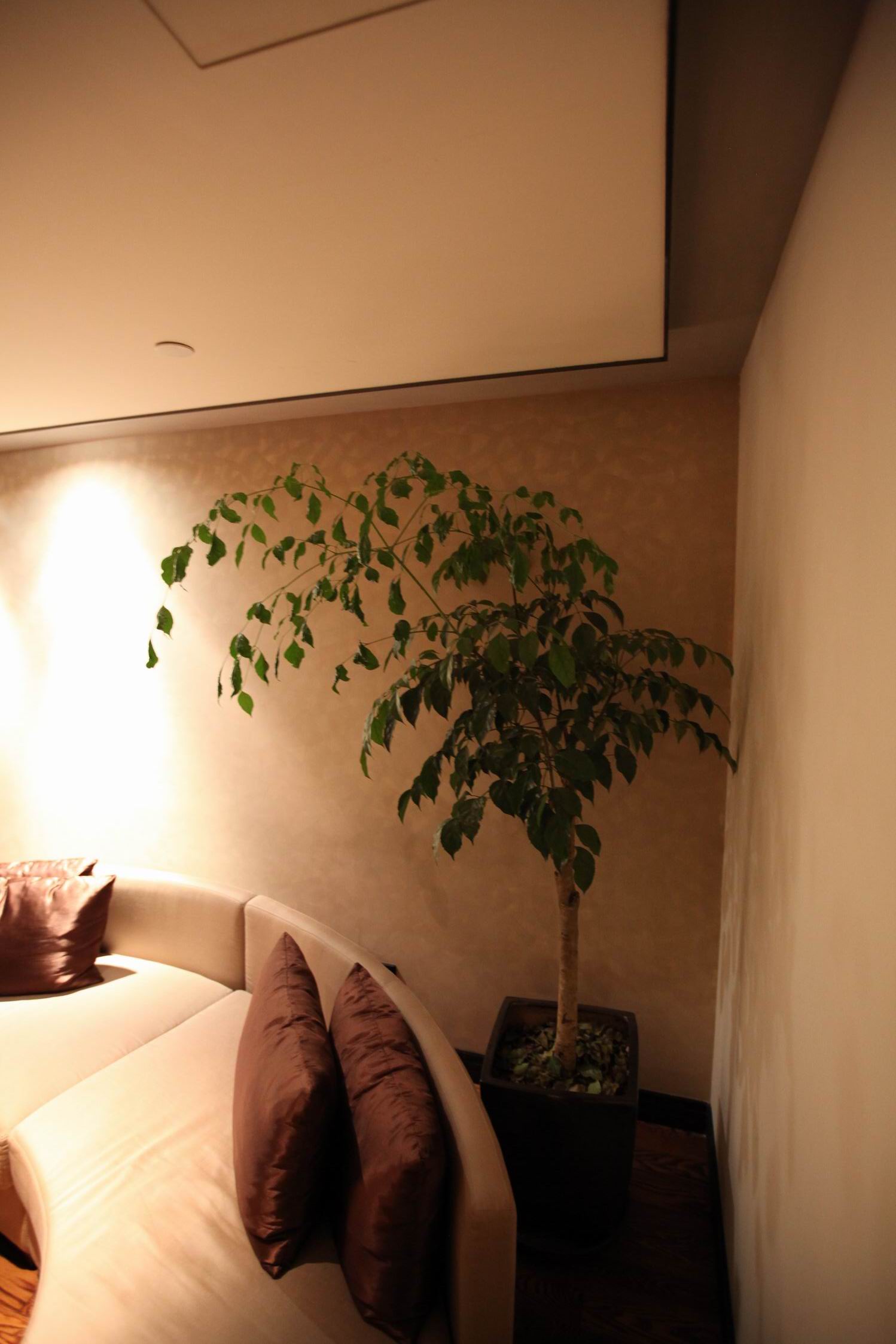 英国洲际酒店Diao 成都洲际丶花样年-2-3