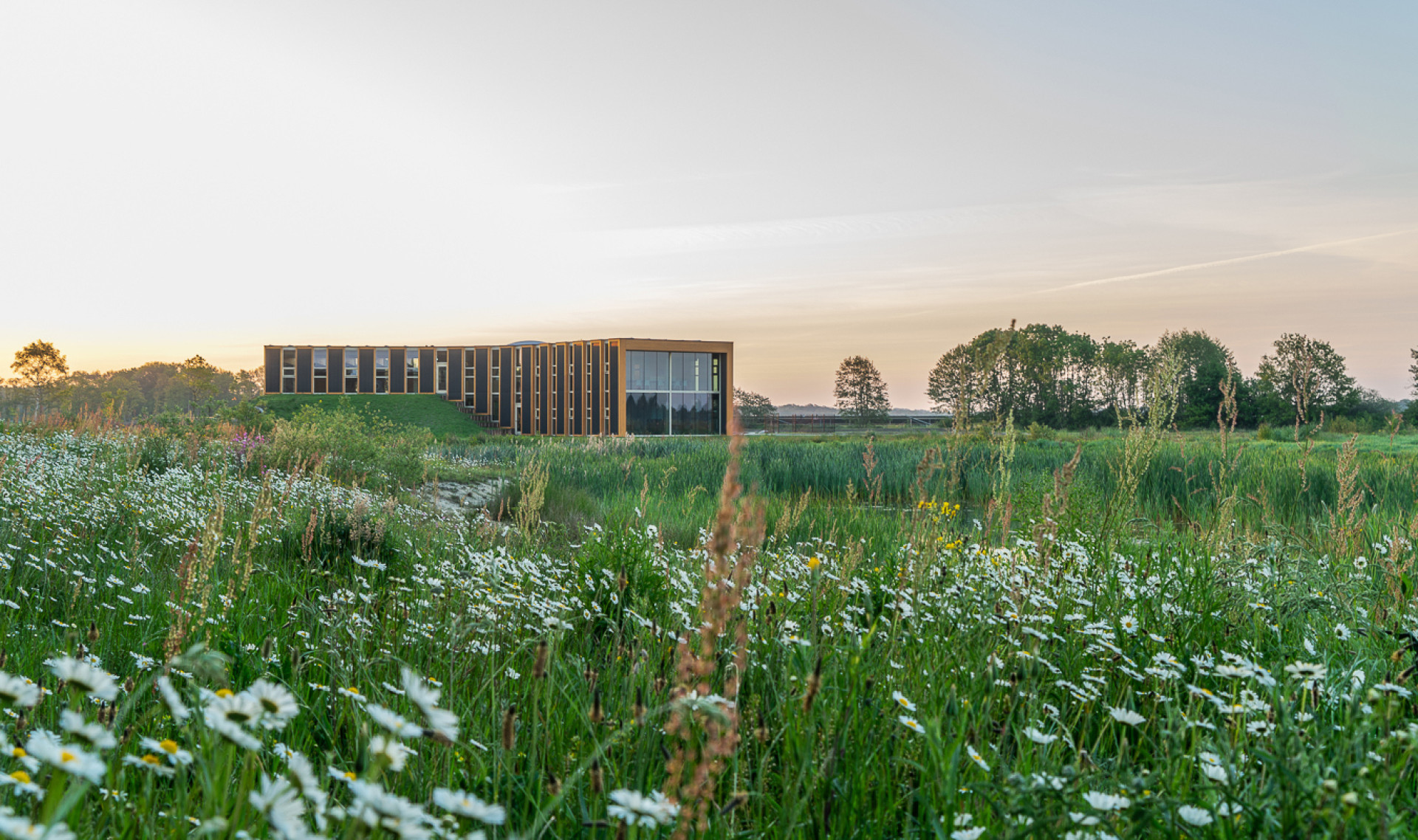 生物合成中心（注：由于Het Biosintrum可能是特定机构、场所等名称，这里Biosintrum推测是生物合成相关含义加上后缀构成的词，具体准确含义可能需结合更多背景信息确定 ） 丨Paul de Ruiter Architects-3