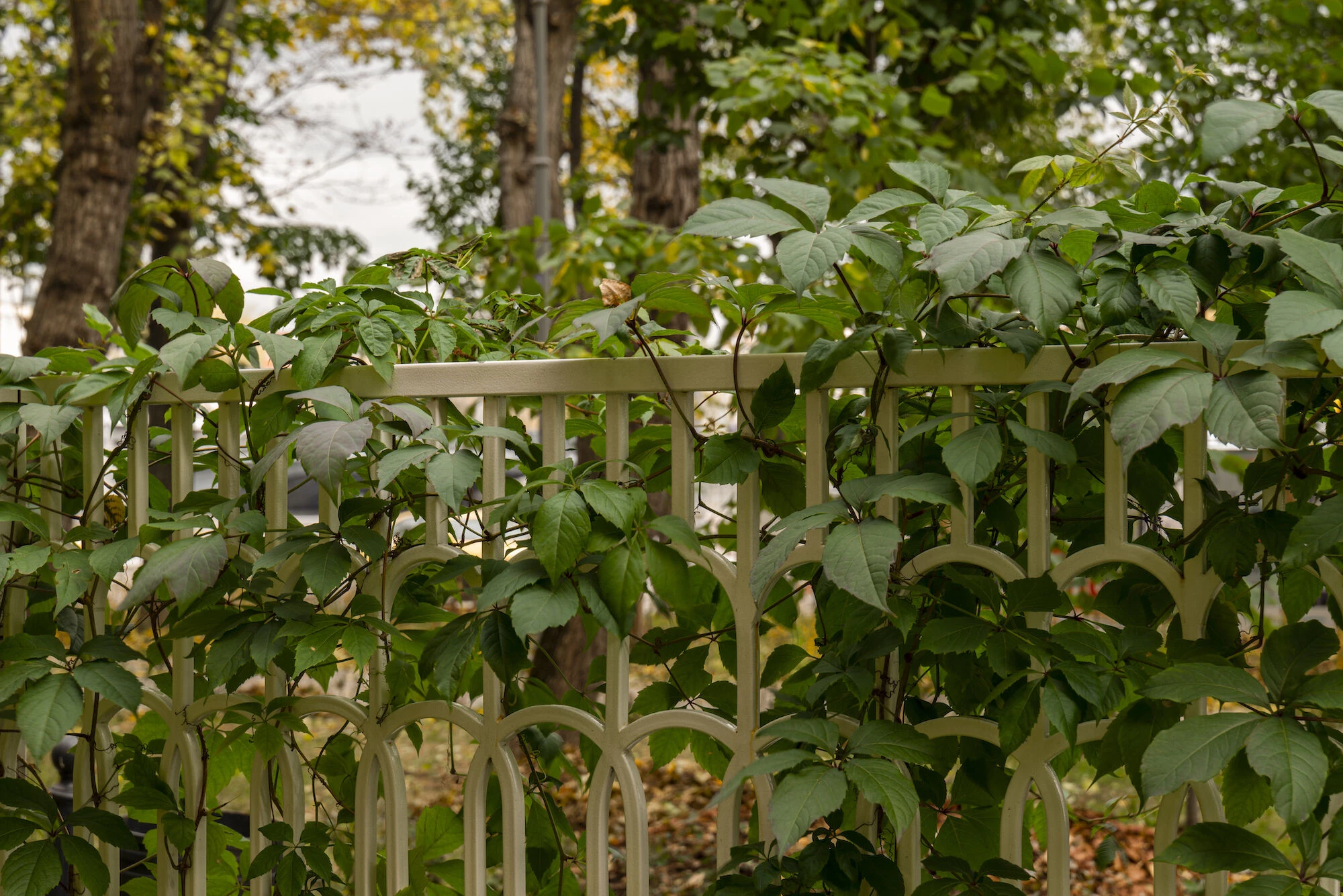 Kosmodamianskaya 堤岸重建丨俄罗斯莫斯科丨Bureau A4-32