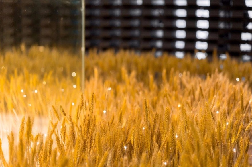 积粟社“粮仓”主题展示空间:72865个黑砖与9909个光盒子-24