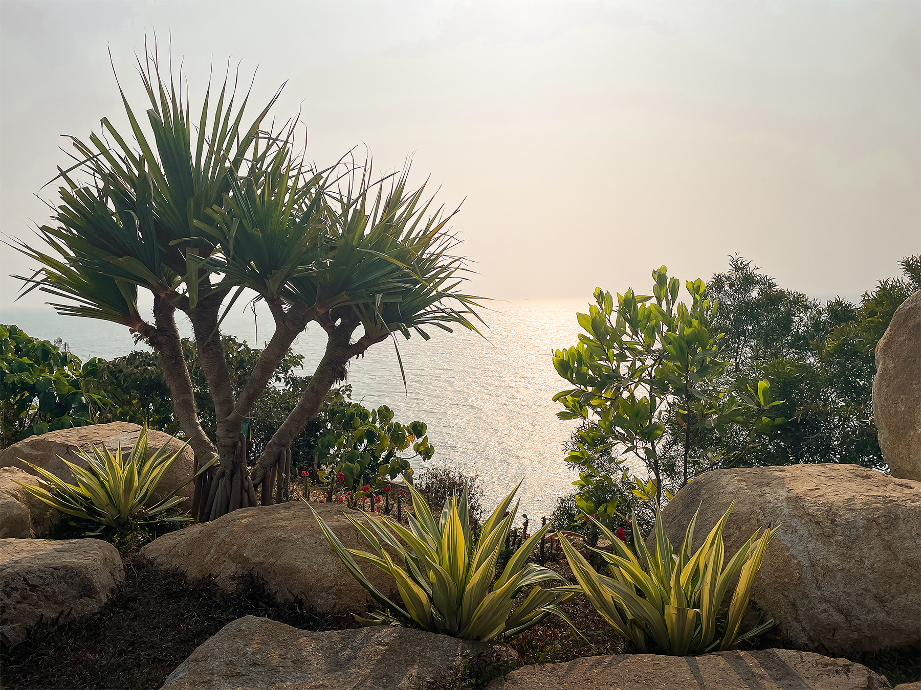 阿丽拉珠海东澳岛丨中国珠海丨ZNA|泽碧克建筑设计事务所等多家-80