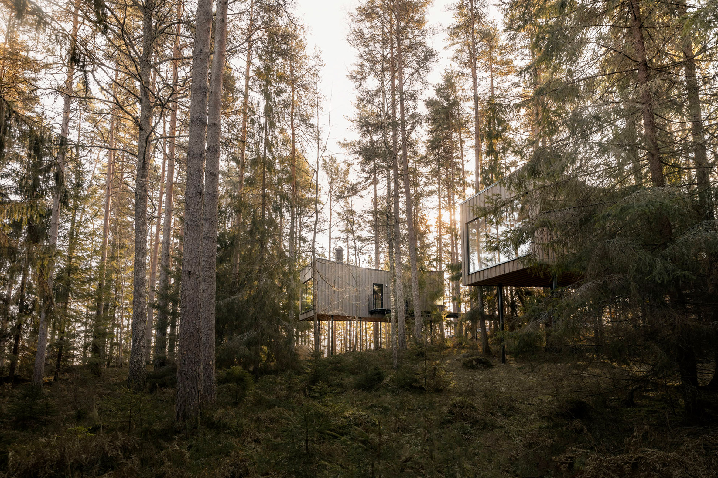 瑞典 Trakt 森林酒店 | 用环保设计融入大自然的怀抱-7