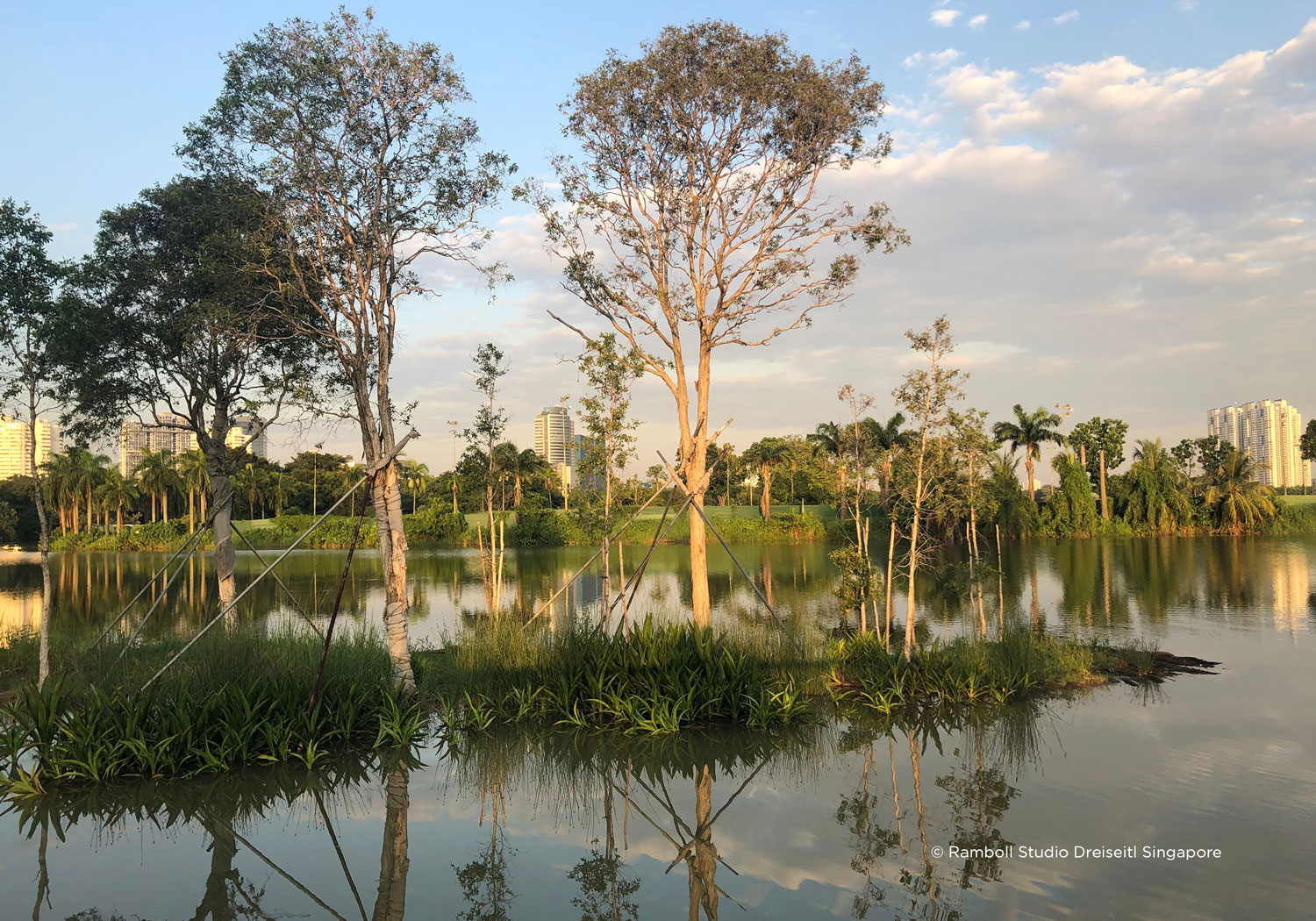 新加坡 Lakeside Garden · 寓教于乐的湿地生态公园-7