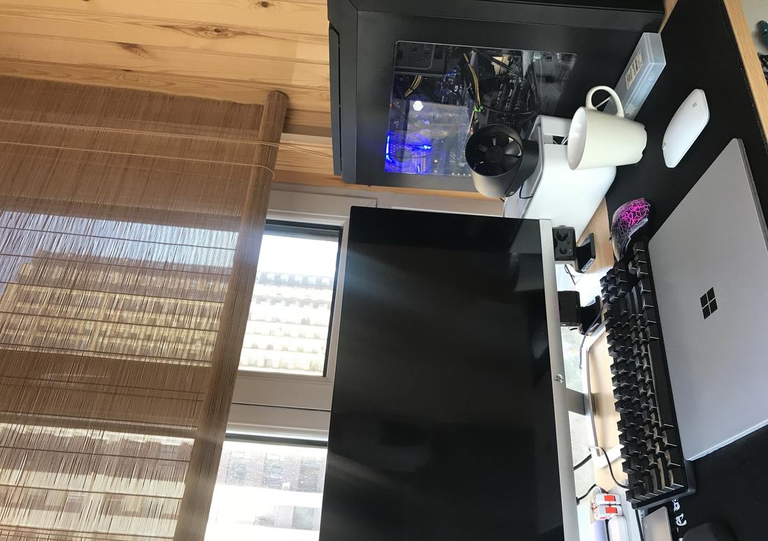 
三只猫的故事 -0