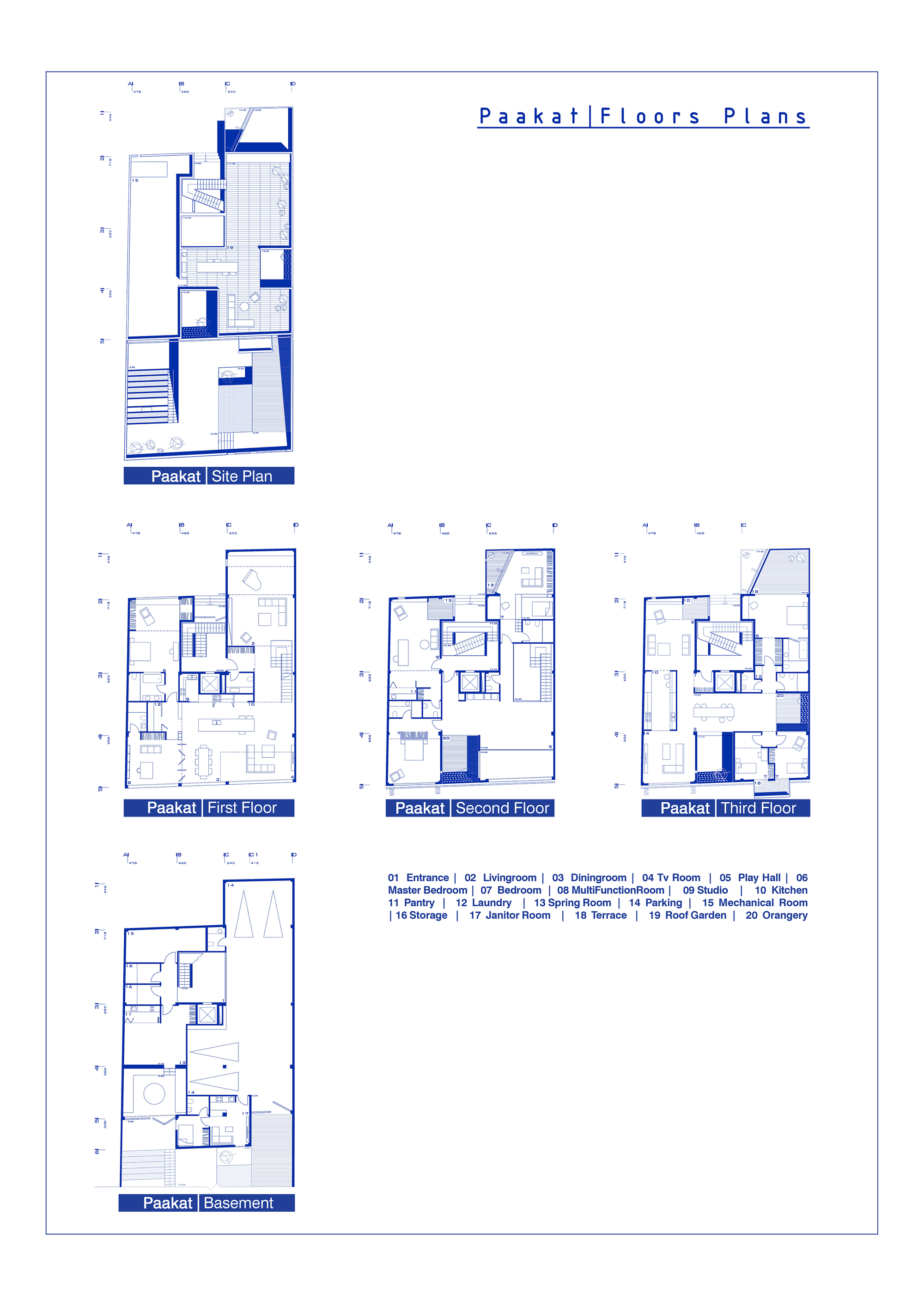 帕卡特住宅丨伊朗丨Rooydaad Architects-14