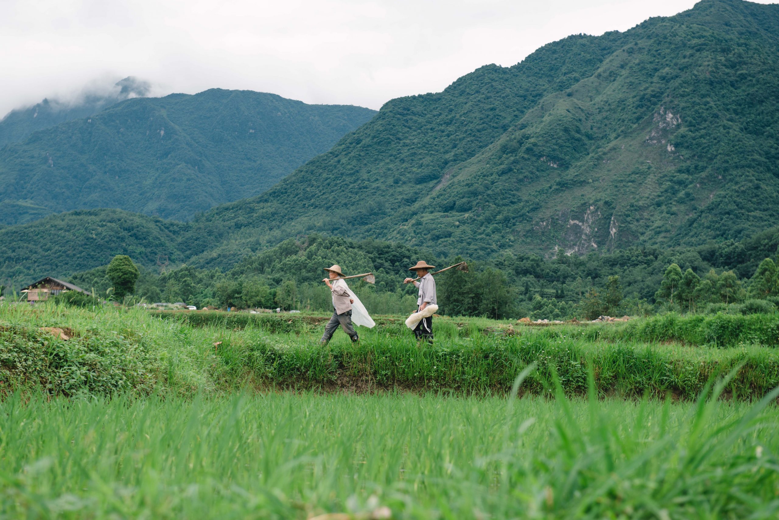 峨眉·高桥小镇丨中国眉山丨四川乐道景观设计有限公司-84