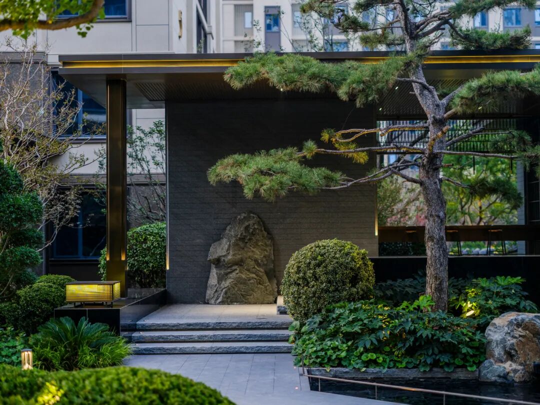 邯郸 · 天正 · 凤鸣九章丨中国河北丨麦田景观-3