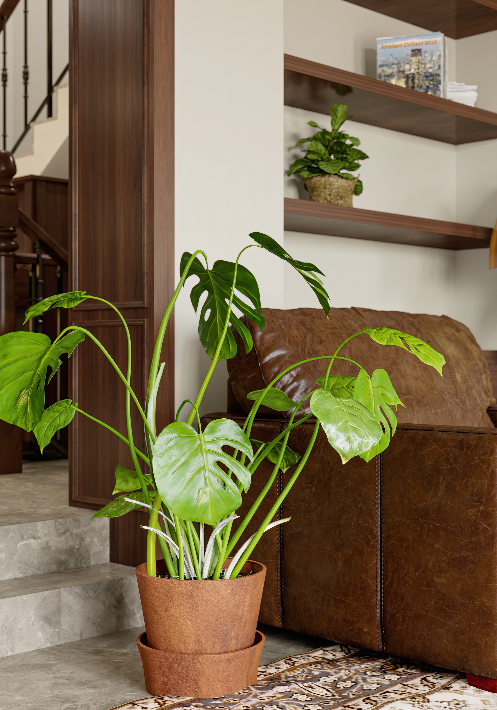 美式效果表现-9