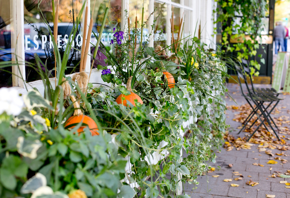 2023 Fall Front Porch Spruce-Up Ideas-3