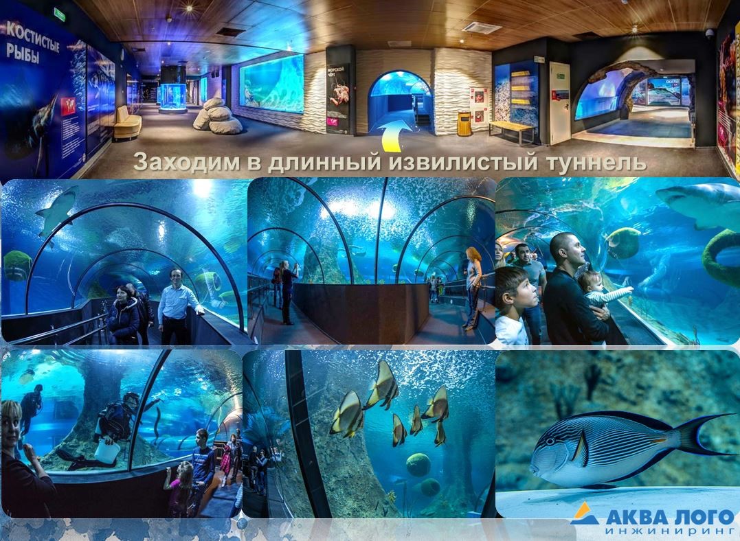 科加雷姆海洋馆“Aquatika”丨Aqua Logo Engineering-19